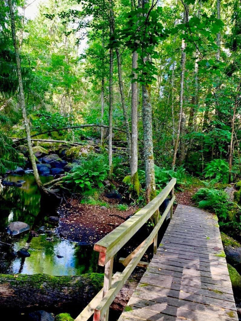 En liten bro över en bäck i trollskog. Vy över miljön på vandringsteatern